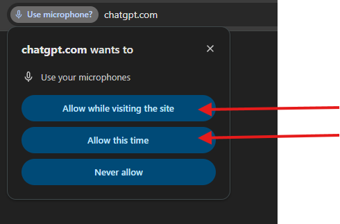 Allow Microphone Access