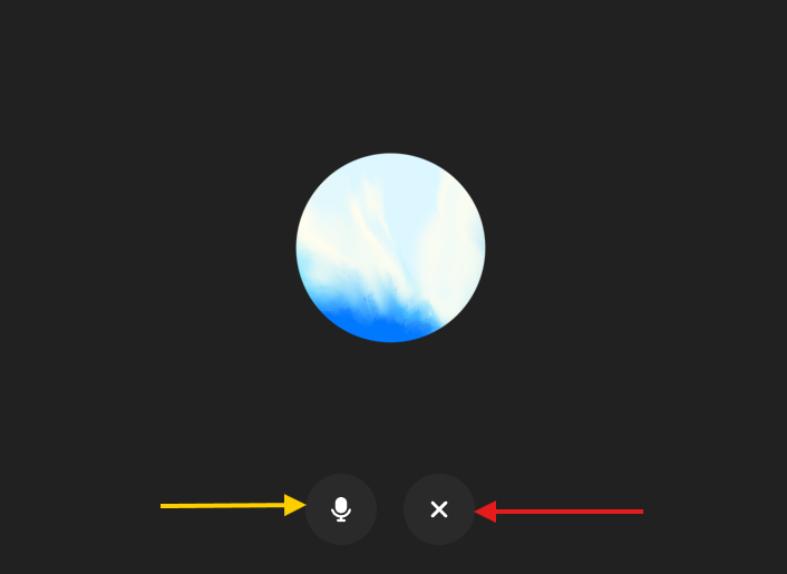 Mute or End Call
